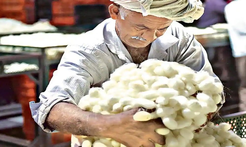 KVIC comes to the rescue of cocoon farmers in Tamil Nadu