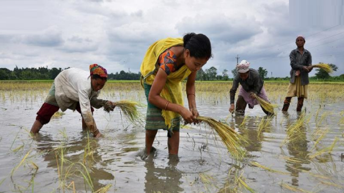 Indian agriculture sector: Time to let the ‘Invisible Hand’ lead