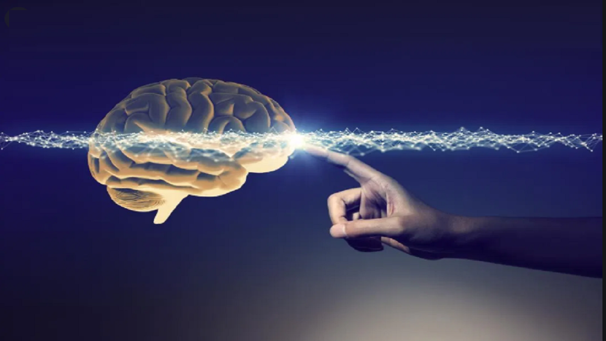 Scientists find encouraging results in attempt to revive brain dead subjects