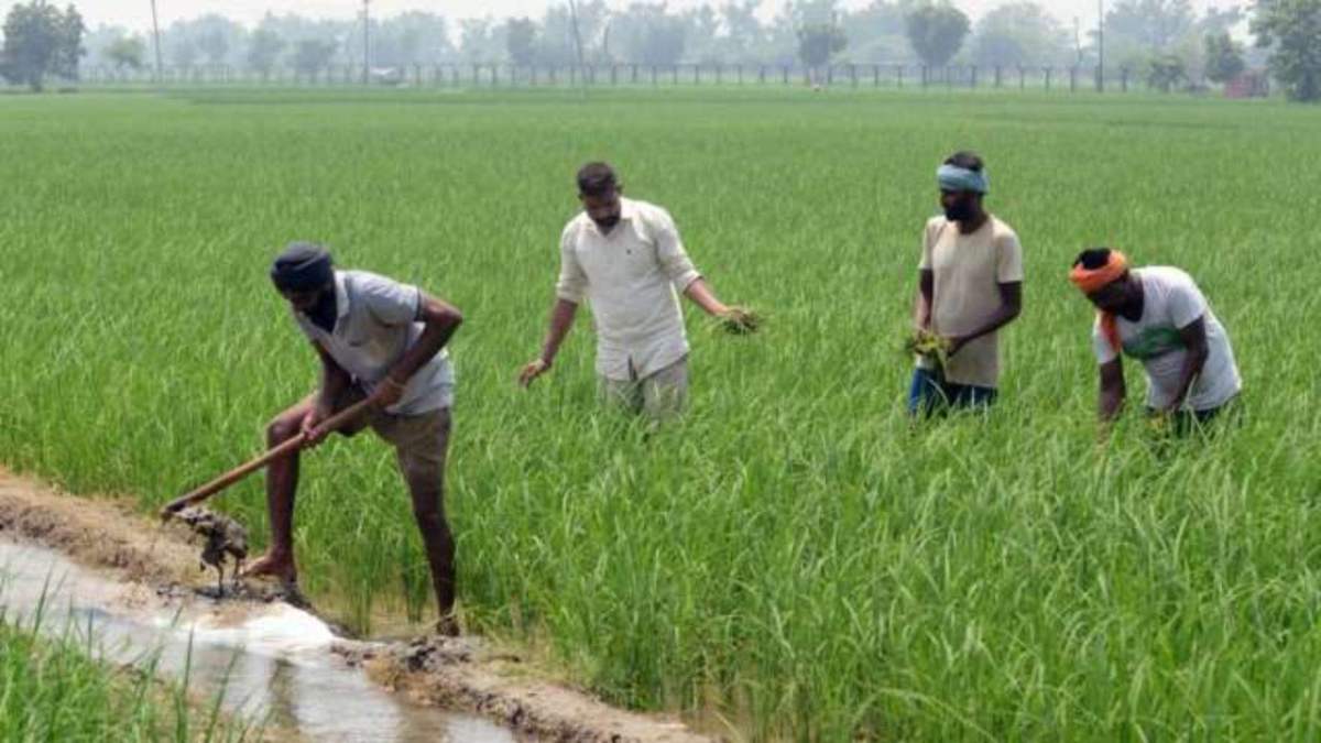 Farmers at the centre of political debate once again: Looking at farm bills from competition lens