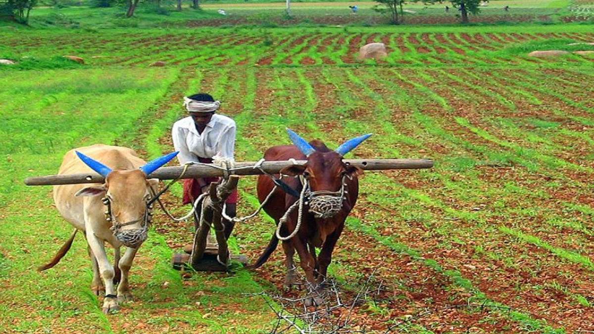 Aatmanirbhar Bharat needs an Aatmanirbhar seed sector