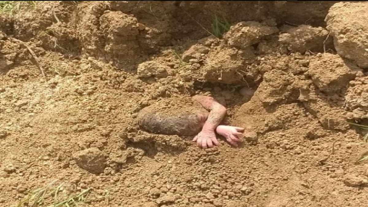 Half-buried newborn miraculously rescued in Andhra village