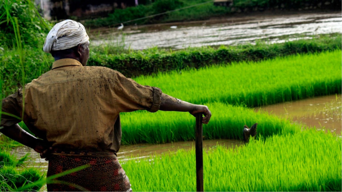 KARNATAKA FARMERS SELL PADDY TO RELIANCE RETAIL ABOVE MSP