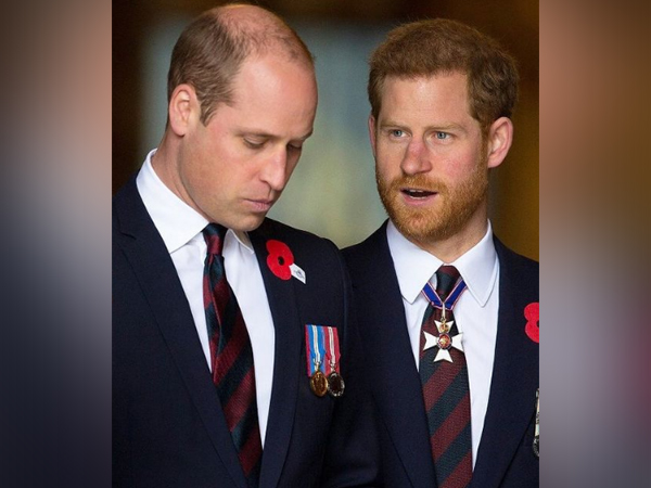 Prince Harry and William have always had ‘complicated relationship’ with father Prince Charles