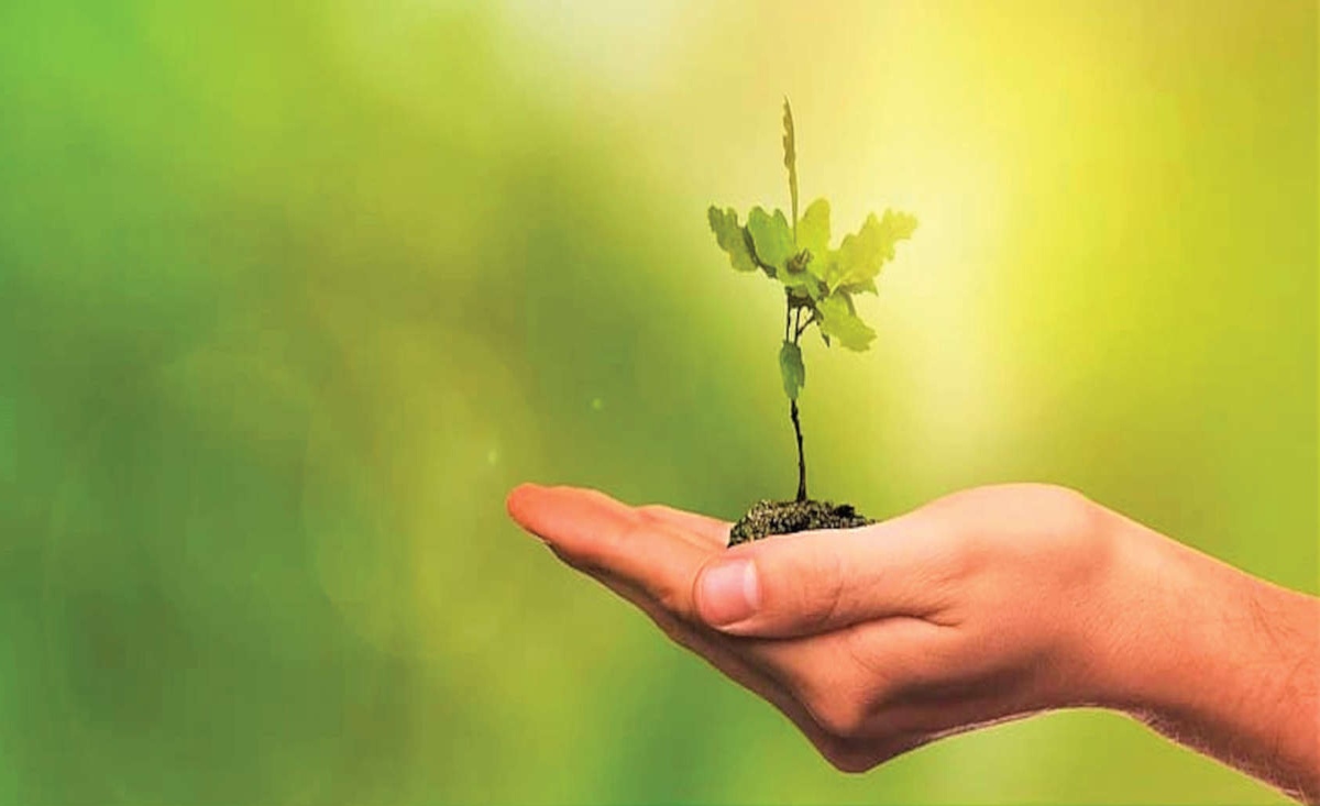 1.30 cr saplings to be planted in J&K this year