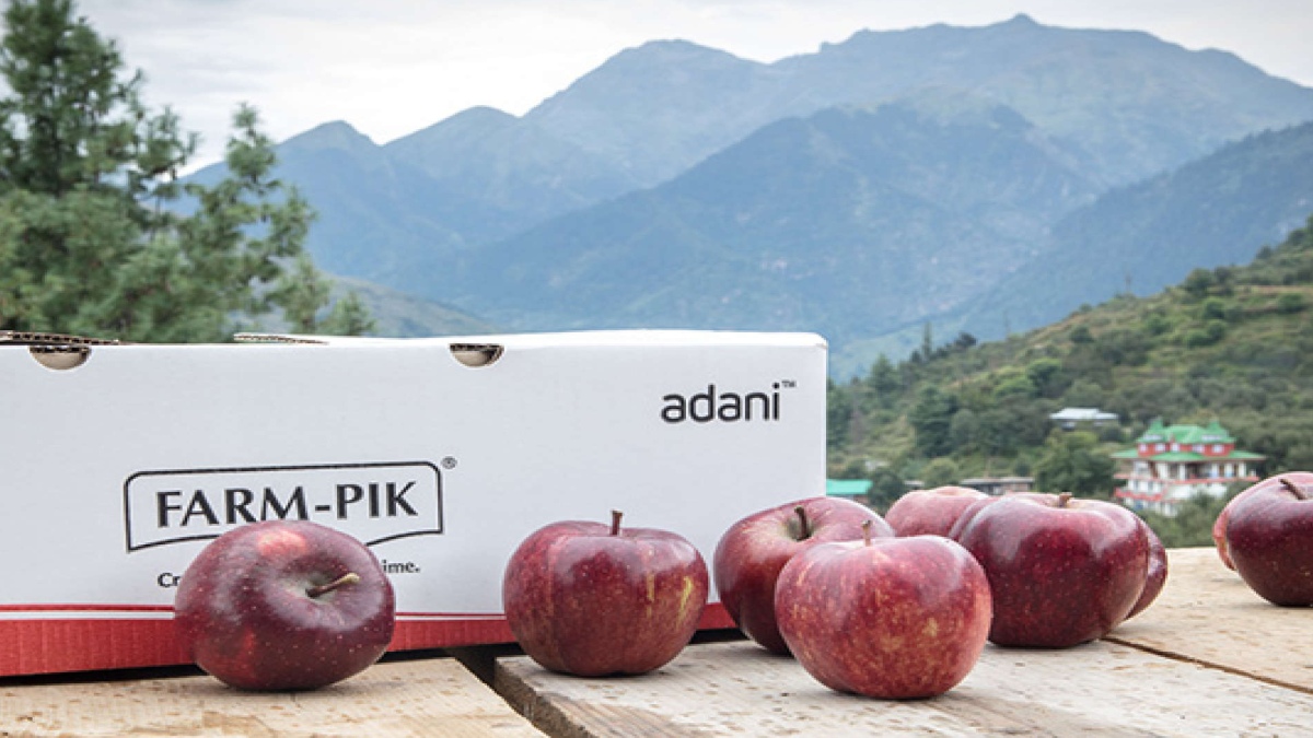 APPLE GROWERS OF HIMACHAL DISENCHANTED, PREPARING FOR PROTESTS IN THE WAKE OF ‘CRASHING’ MARKETS