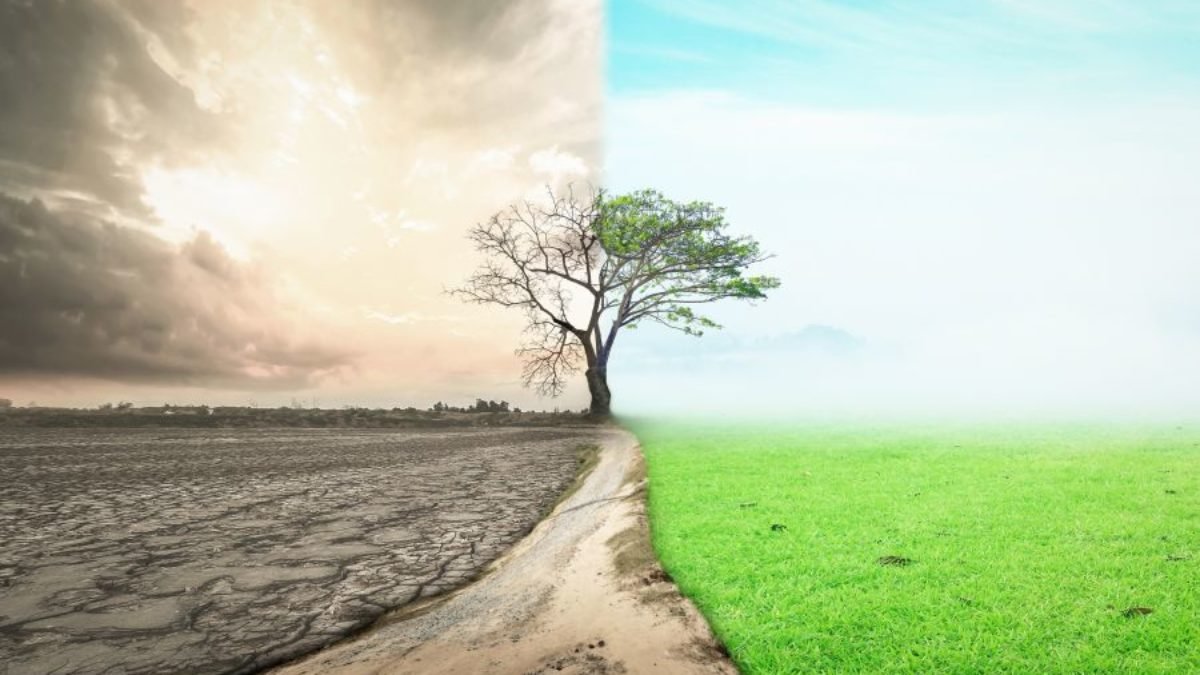 UN warns of extreme climate changes as COP28 tackles solutions