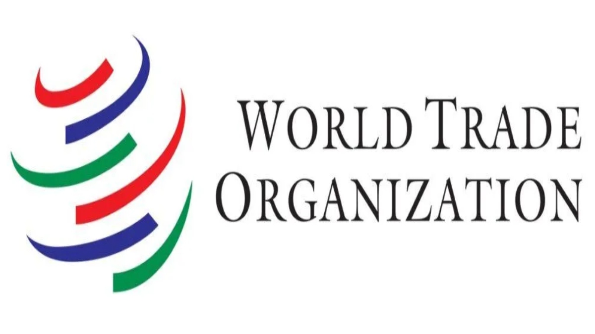‘INDIA EMERGES AS CREDIBLE VOICE FOR DEVELOPING NATIONS AT WTO’