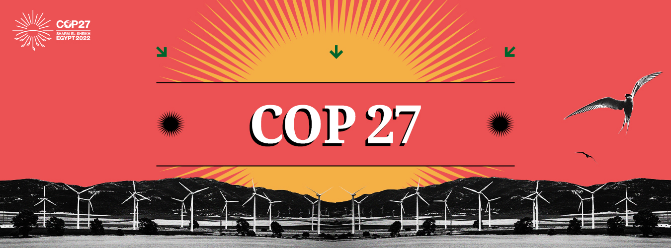 Ahead of climate summit cop27, Germany slams Egypt on human right violation