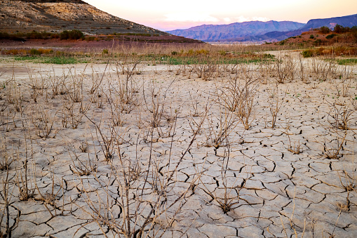 Afghanistan seeks UN support for storage of wheat amid concerns of drought