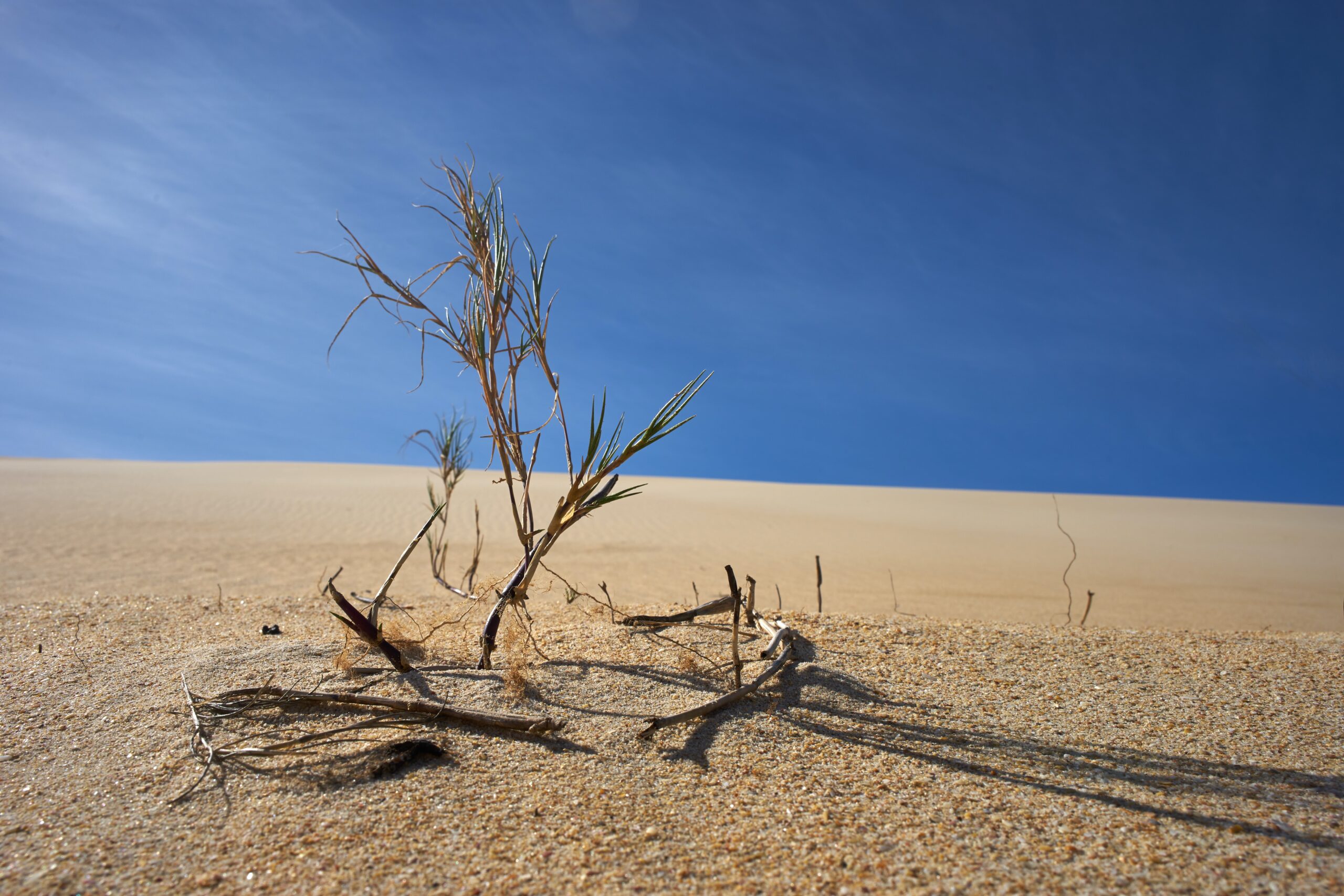 Extreme weather claims 2 million lives, causes .3 trillion in damages: UN agency