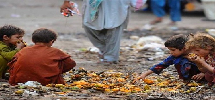 Food waste in Pakistan costs  billion annually, says report