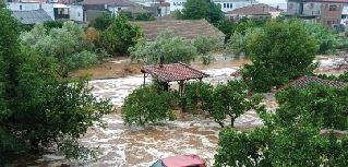 Severe rainstorm leads to traffic ban in flooded central Greece