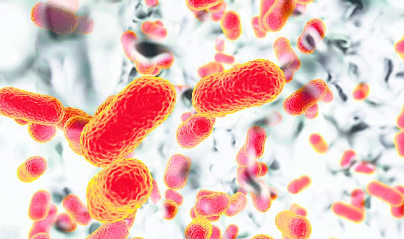 Inclusive solutions needed: Antimicrobial resistance’s silent toll grows