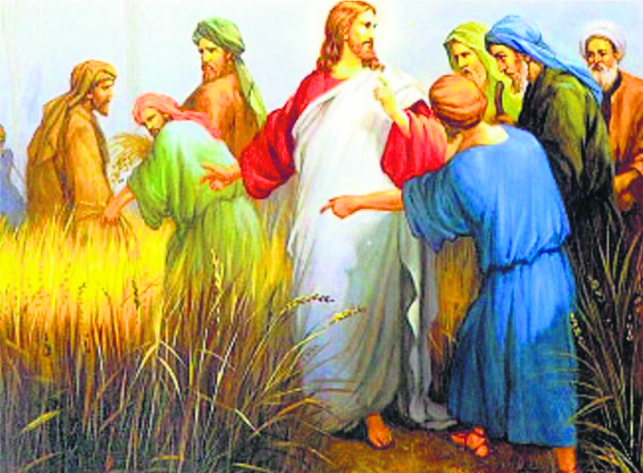 Weeds among the wheat