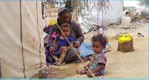 UN halts aid to Houthi-controlled Yemen, affecting millions in need
