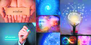What is the Wisdom Quotient?