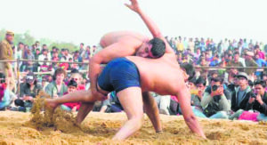 The Daily Guardian