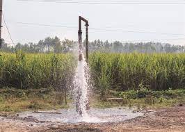 Farmers in UP will receive free electricity for irrigation, decides state cabinet