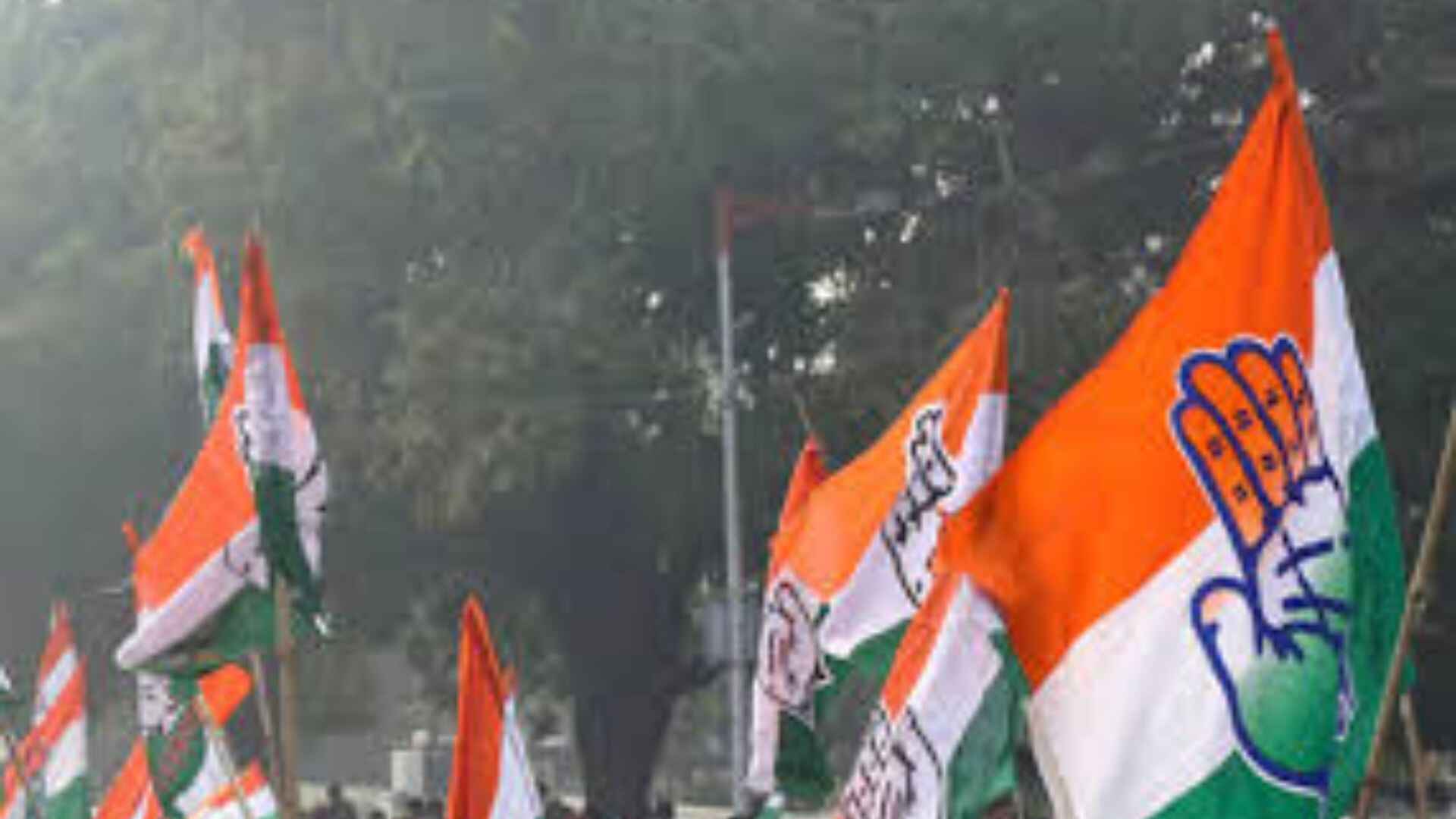Congress fact-finding panel blames BJP, EC of rigging in Haryana polls