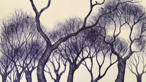 Nature Art Nature Art