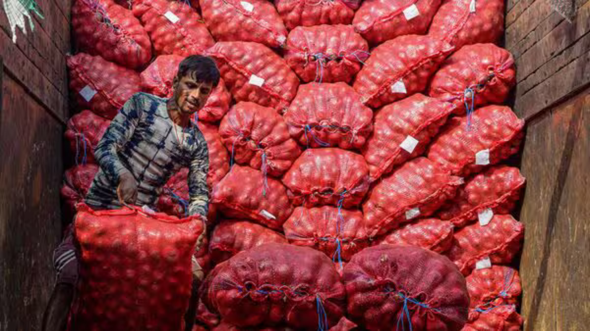 Timely Rainfall May Lead to Moderation in Potato, Onion, and Tomato Prices