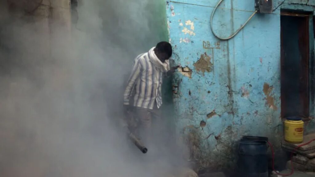 Dengue Prevention Dengue Prevention