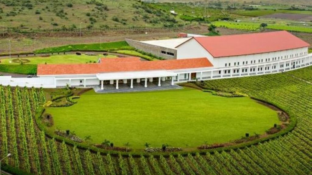 Rise of Nashik as a Wine Hub Rise of Nashik as a Wine Hub