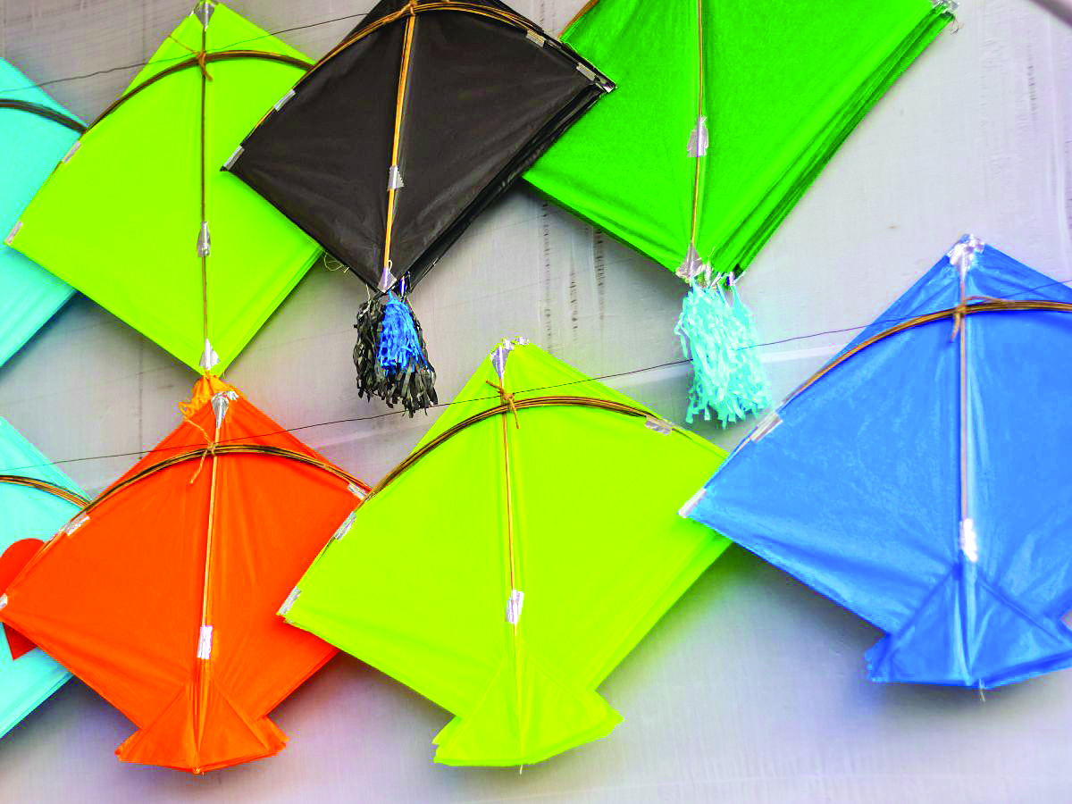 Kite Flying in Delhi: A Soaring Celebration of Independence