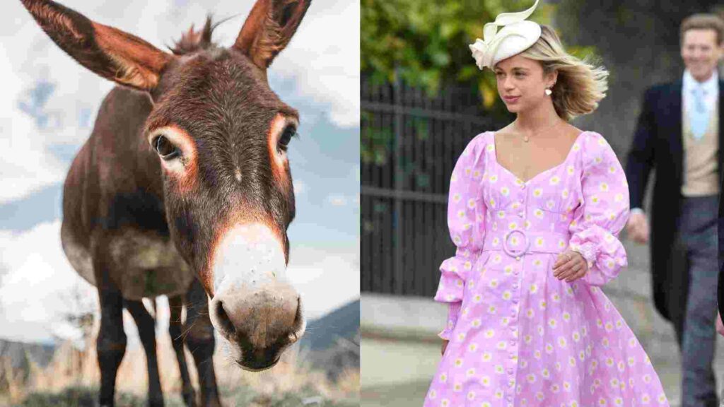 Royal Family Gifts Royal Family Gifts