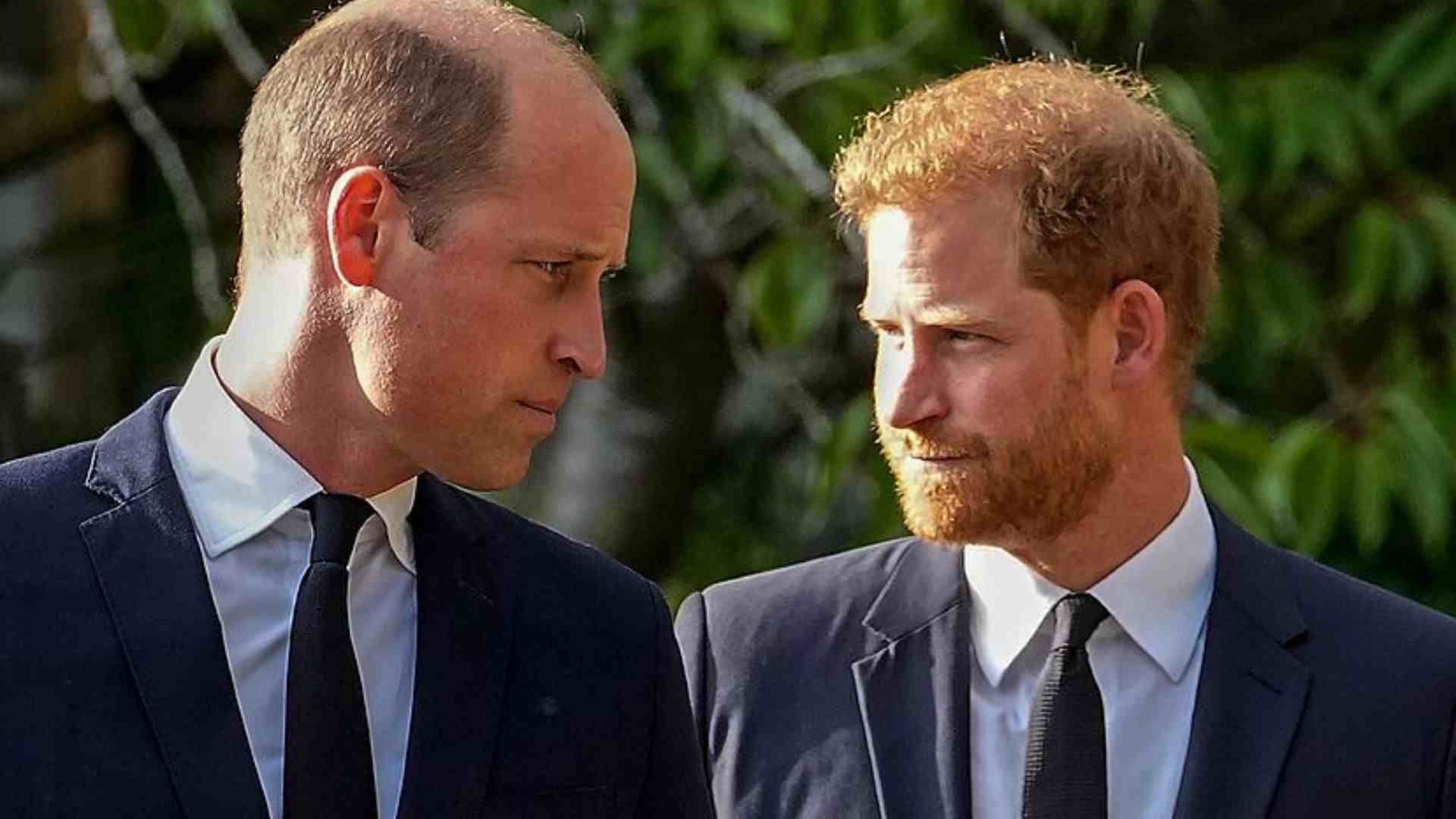 Prince Harry .5 Million Royal Inheritance, Sparks Tensions With Prince William