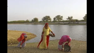 Women-led Jal Samitis in Rajasthan working in villages to conserve water. (UNICEF). Women-led Jal Samitis in Rajasthan working in villages to conserve water. (UNICEF).