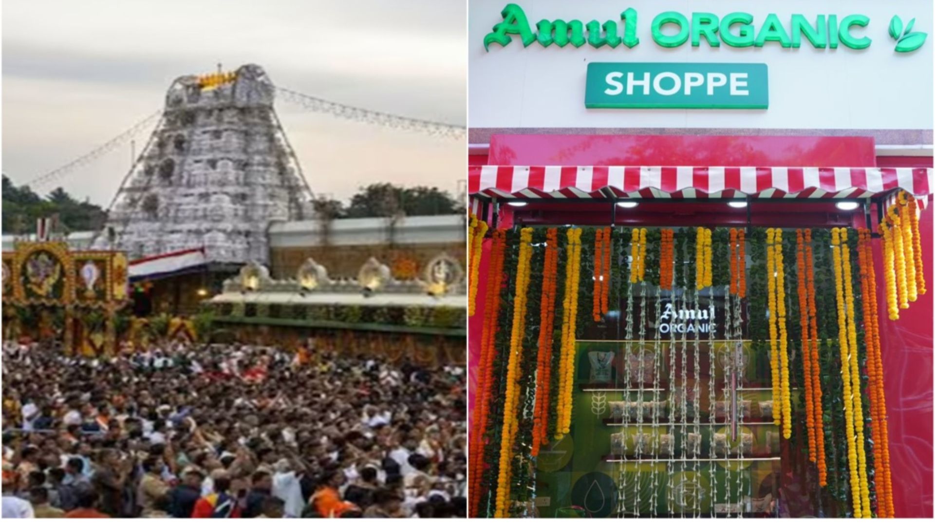 Amul Clarifies Non-Involvement in Tirumala Temple Ghee Controversy