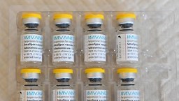 Congo Receives First Mpox Vaccine Batch To Combat Ongoing Outbreak