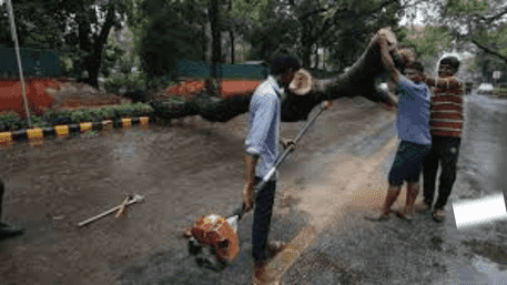 ‘Didn’t Know We Needed Permission’: Delhi Lt Governor Responds To Supreme Court On Tree Felling