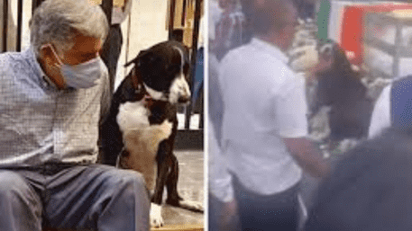 Fact Check: Is Ratan Tata’s Dog ‘Goa’ Really Dead? Here’s The Truth! | VIDEO