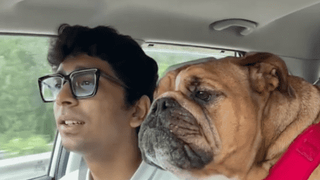 Have You Ever Seen A Bulldog Steal The Spotlight With ‘Believer’? Watch Now!