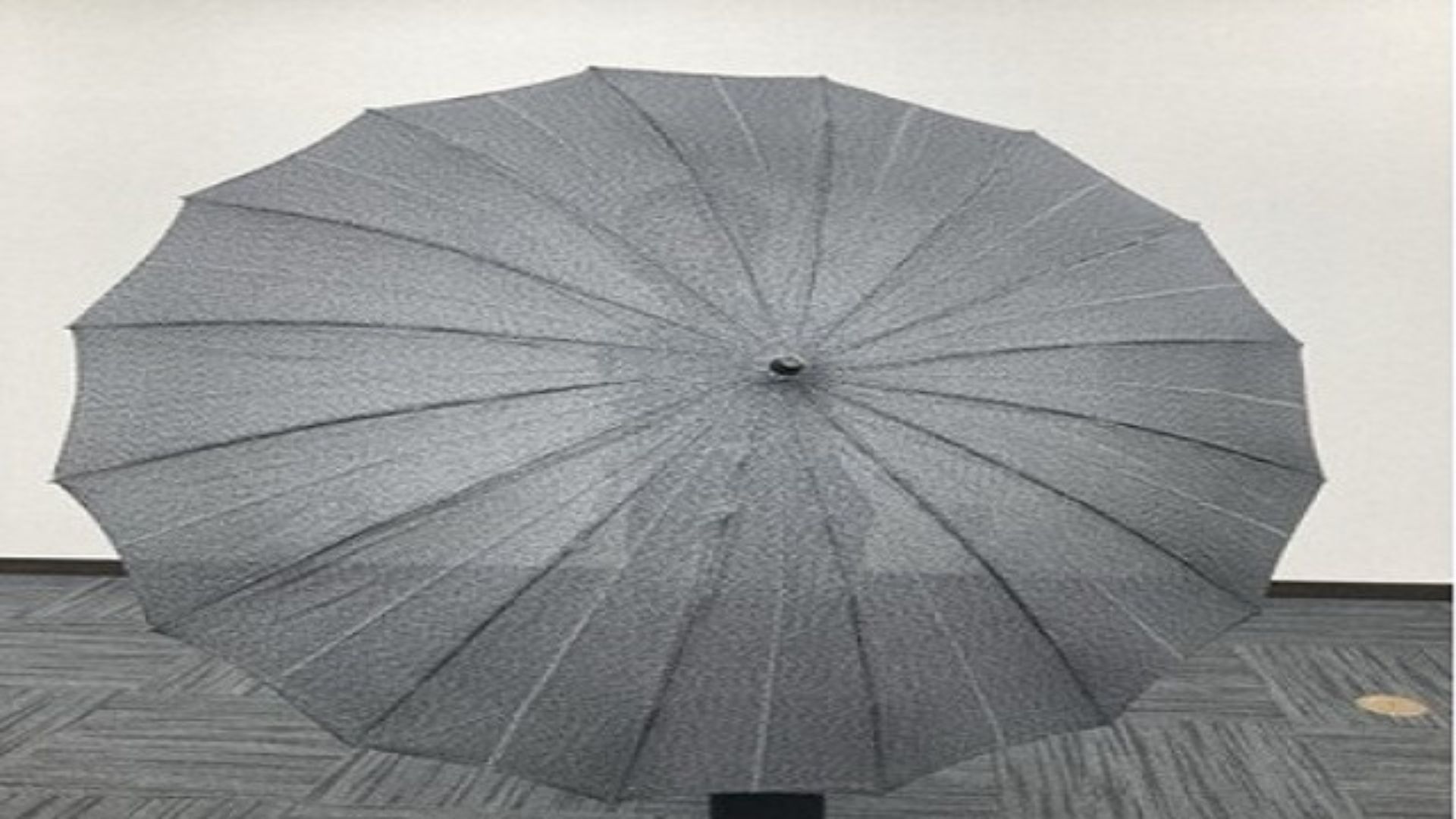 Japan Railways Unveils ‘Blade-Resistant’ Umbrellas To Enhance Passenger Safety