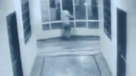 Man Falls From Hotel’s 3rd Floor While Shooing Dog In Hyderabad: WATCH