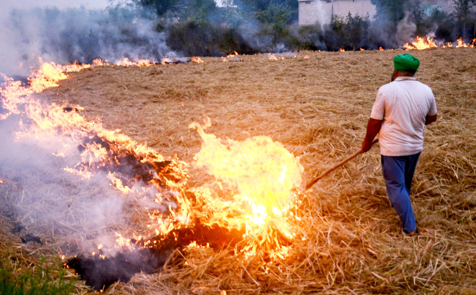 Centre asks Punjab, Haryana to intensify measures against stubble burning