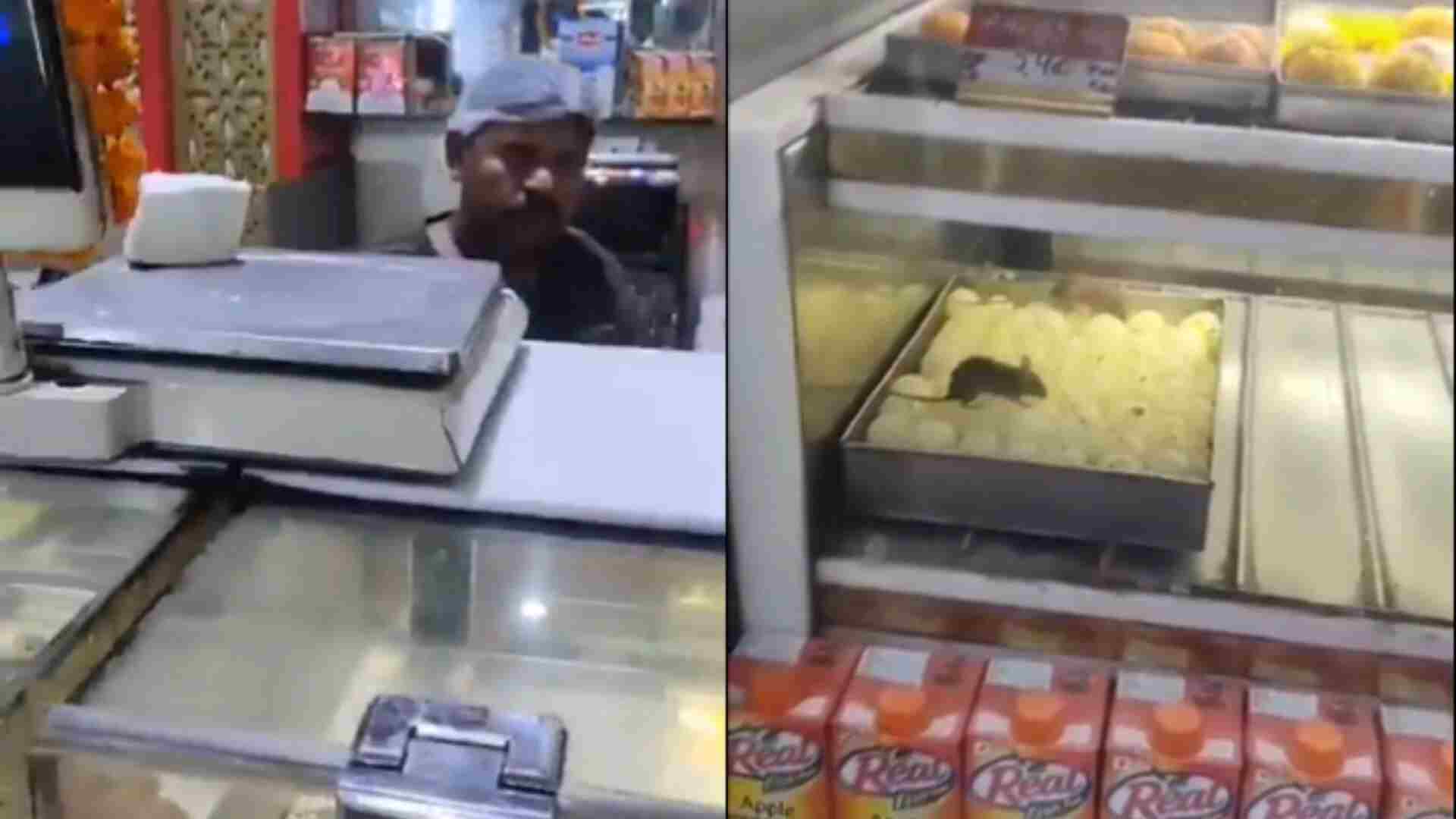 Rats Devour Sweets, Scurry Over Laddoos in Delhi Shop; Video Goes Viral