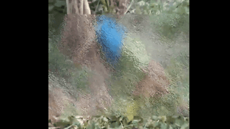 UP Shocking Video:  5-Year-Old Boy Body Found With Throat Slit In Muzaffarnagar