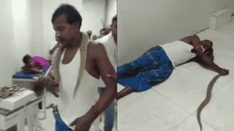 Venomous Twist: Bihar Man Brings Deadly Snake To Hospital After Being Bitten
