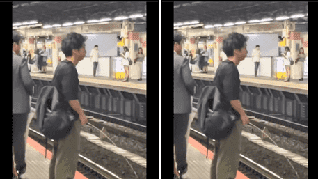 Viral Video: Man Urinates Openly On Metro Tracks In Crowded Station