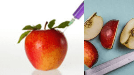 ‘Apple Jihad’ Exposed: Is Your Apple Poisoned? What Is Used To Hide Injection Hole? | WATCH