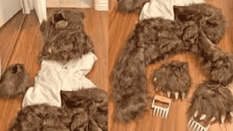 Bear In The City? Man Dresses As Bear To Fake Car Damage In Insurance Scheme | WATCH