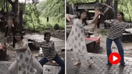 ‘Bharatanatyam Elephant’: It’s ‘Dance’ Sparks Joy, But Experts Sound Alarms | WATCH