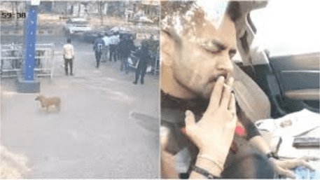 Drunk Driver Crashes AUDI Into 5 Vehicles In Ahmedabad | WATCH