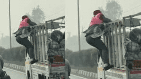 Groom Ditches Horse And Chases Thief Who Stole His Cash Garland | WATCH