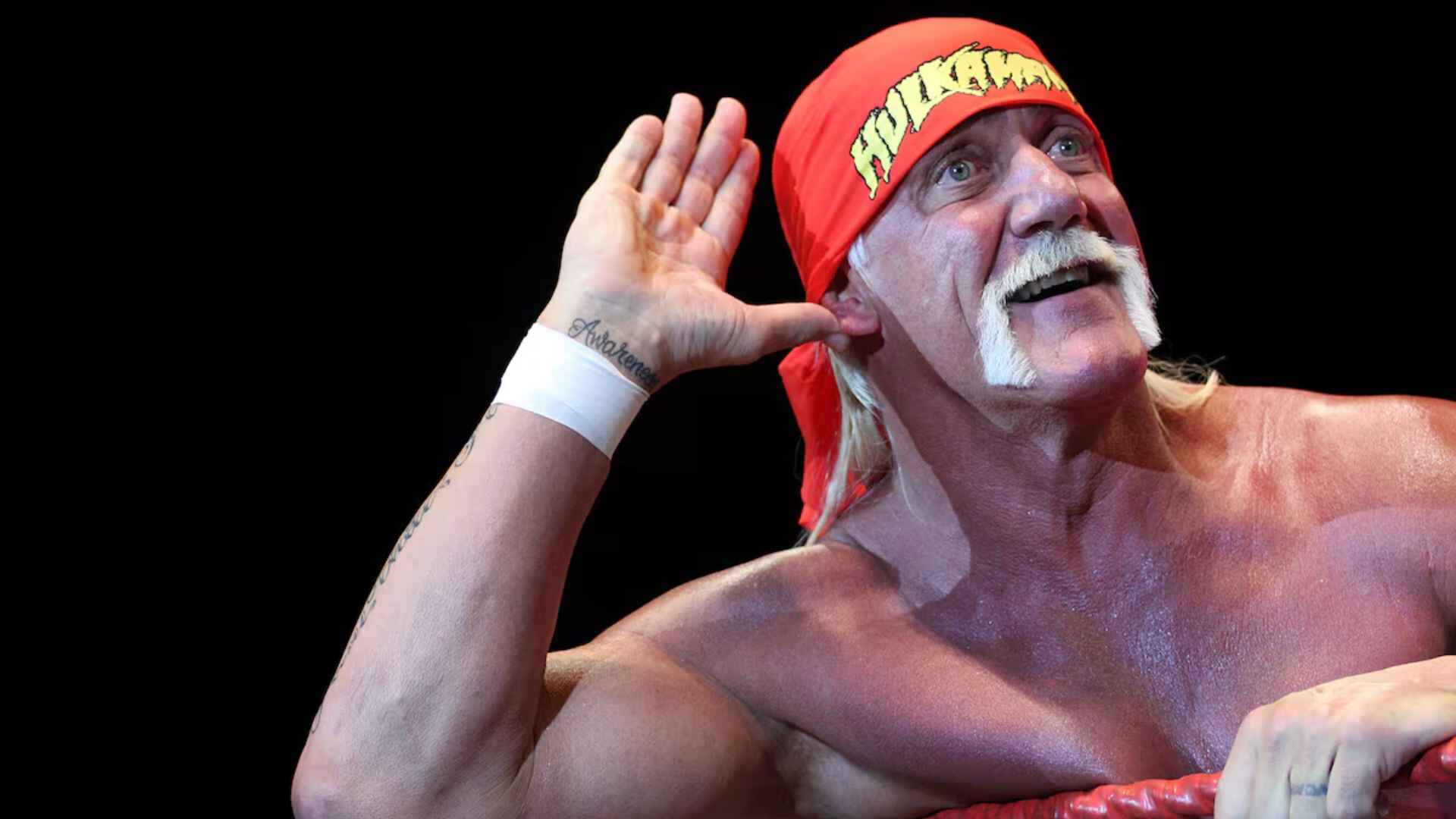 “My President Said……”: Hulk Hogan Suggests Trump Could Offer Him Key Position In Upcoming Administration
